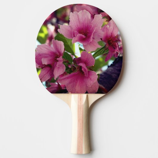 Raquette De Ping Pong Paddle Ping Ping Ping Fleur Rose (Devant)