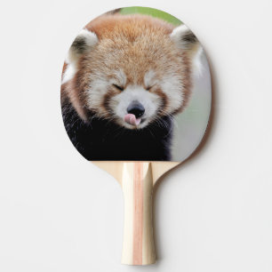 Raquette De Ping Pong paddle ping pong Photo panda rouge, animaux.
