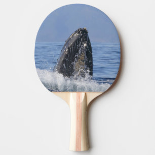 Raquette De Ping Pong Pagaie de ping-pong avec baleines