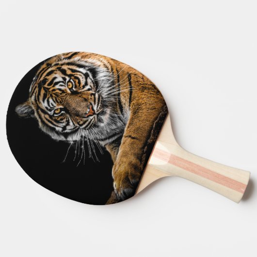 Raquette De Ping Pong Pagaie Ping Pong Avec Conception De Loin (Côté)