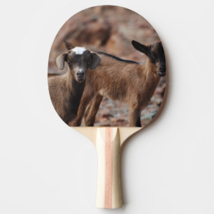 Raquette De Ping Pong Paires de chèvres