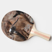 Raquette De Ping Pong Paires de chèvres (Côté)