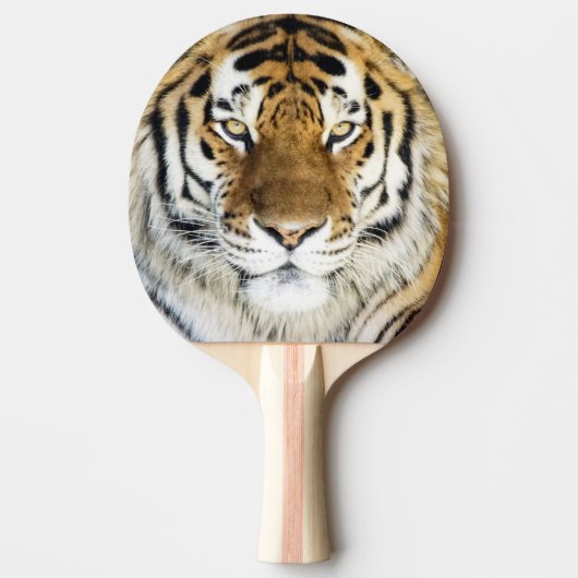 Raquette De Ping Pong Palette de ping-pong de tigre (Devant)