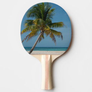 Raquette De Ping Pong Palmier et plage de sable blanc  2
