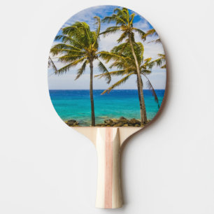 Raquette De Ping Pong Palmiers à noix de coco (Cocos nucifera) se balanç
