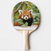 Raquette De Ping Pong Panda rouge (Devant)
