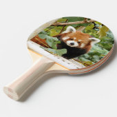Raquette De Ping Pong Panda rouge (Devant Angle)