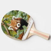 Raquette De Ping Pong Panda rouge (Côté)