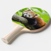 Raquette De Ping Pong Panda rouge (Devant Angle)