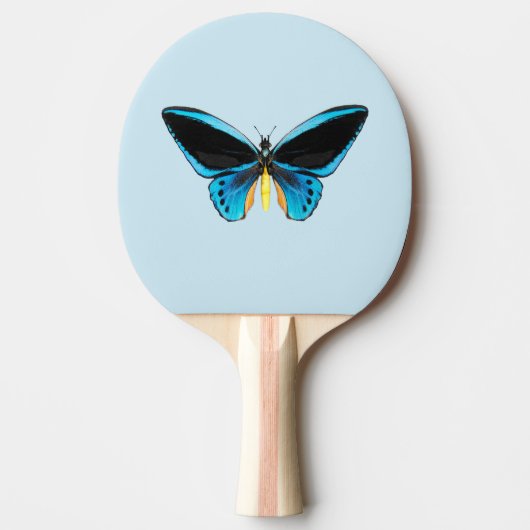 Raquette De Ping Pong Papillon Birdwing (Devant)