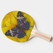 Raquette De Ping Pong Papillon sur une Fleur Jaune (Côté)