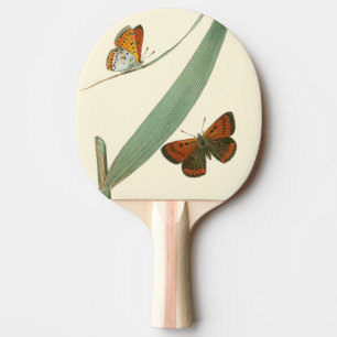 Raquette De Ping Pong Papillons colorés flottant autour d'une feuille
