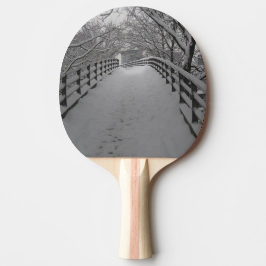 Raquette De Ping Pong Passerelle (Devant)