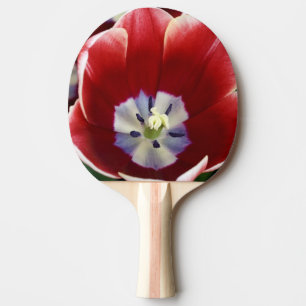 Raquette De Ping Pong Pays-Bas (aussi appelé Hollande), Lisse. Keukenhof