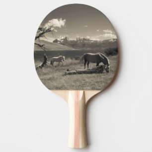 Raquette De Ping Pong Paysage avec chevaux