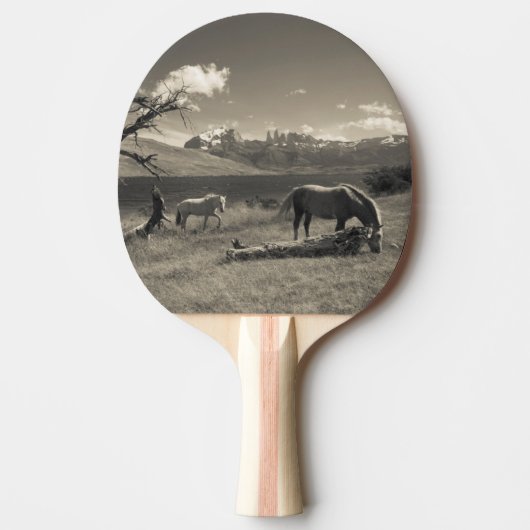 Raquette De Ping Pong Paysage avec chevaux (Devant)