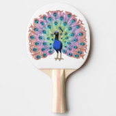 Raquette De Ping Pong Peacock coloré (Devant)