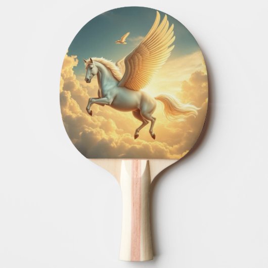 Raquette De Ping Pong Pegasus (Devant)