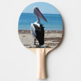 Raquette De Ping Pong Pelican Perché Sur Un Rocher De Plage,