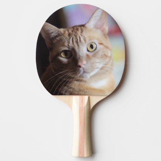 Raquette De Ping Pong Penny (Devant)