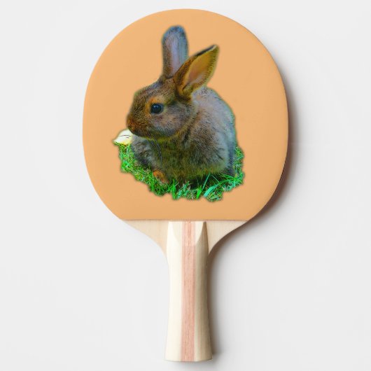 Raquette De Ping Pong Petit Lapin (Devant)