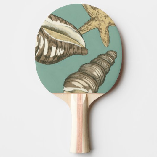 Raquette De Ping Pong Petit trio Shell Turquoise (Devant)