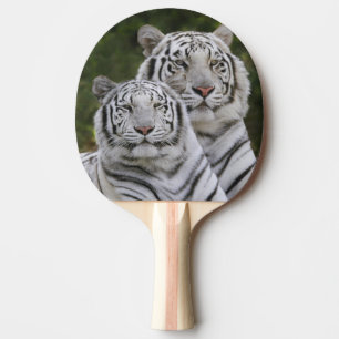 Raquette De Ping Pong Phase blanche, Tigre du Bengale, Tigre du Tigre, T