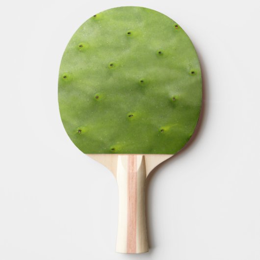 Raquette De Ping Pong Photo verte tropicale botanique de cactus (Devant)