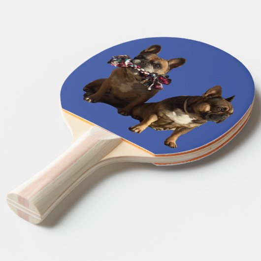 Raquette De Ping Pong Ping-pong (Devant Angle)