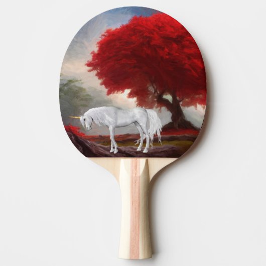 Raquette De Ping Pong Ping Pong Paddle (Devant)