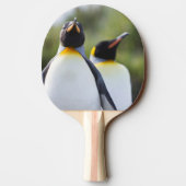 Raquette De Ping Pong Pingouins (Dos)