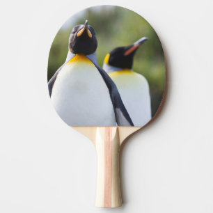 Raquette De Ping Pong Pingouins