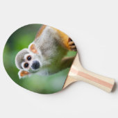 Raquette De Ping Pong Plan rapproché d'un singe-écureuil commun (Côté)