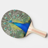 Raquette De Ping Pong Plumage bleu Peacock (Côté)