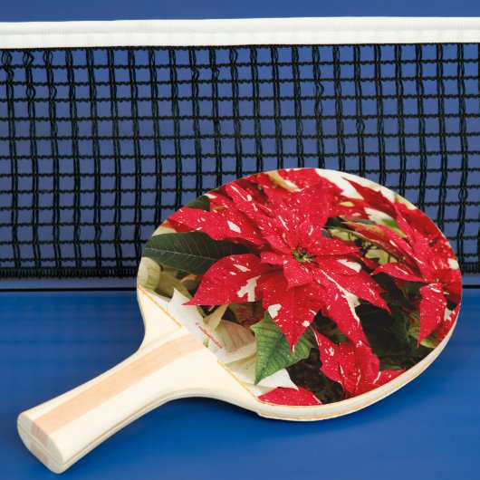 Raquette De Ping Pong Poinsettias Festive Rouge Blanc Floral (Insitu)