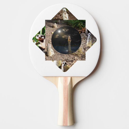 Raquette De Ping Pong Polyscope de suricate, (Devant)