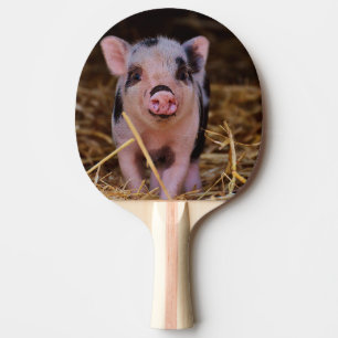 Raquette De Ping Pong Porc mignon doux