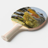 Raquette De Ping Pong Portrait d'alligator. Alligators de Floride (Devant Angle)