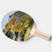 Raquette De Ping Pong Portrait d'alligator. Alligators de Floride (Côté)