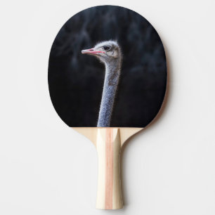 Raquette De Ping Pong portrait d'autruche