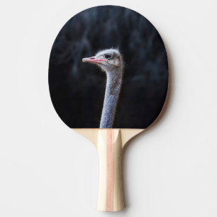 Raquette De Ping Pong portrait d'autruche