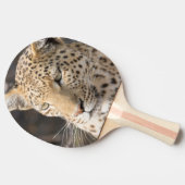 Raquette De Ping Pong Portrait de Léopard (Côté)