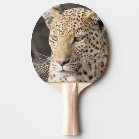 Raquette De Ping Pong Portrait de Léopard (Devant)