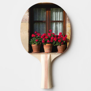 Raquette De Ping Pong Pots de fleurs de fenêtre dans un village
