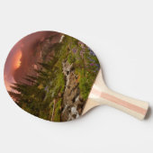 Raquette De Ping Pong Prés enchantés (Côté)