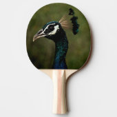 Raquette De Ping Pong Profil de Peacock (Dos)