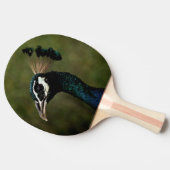 Raquette De Ping Pong Profil de Peacock (Côté)