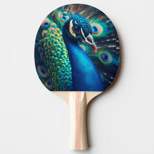 Raquette De Ping Pong Profil Peacock (Dos)