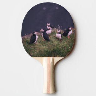 Raquette De Ping Pong Puffins de l'Atlantique