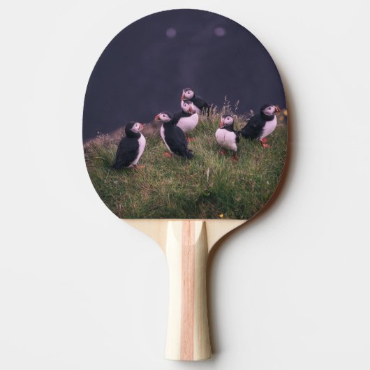 Raquette De Ping Pong Puffins de l'Atlantique (Dos)